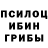 Галлюциногенные грибы MAGIC MUSHROOMS Bob Marshall